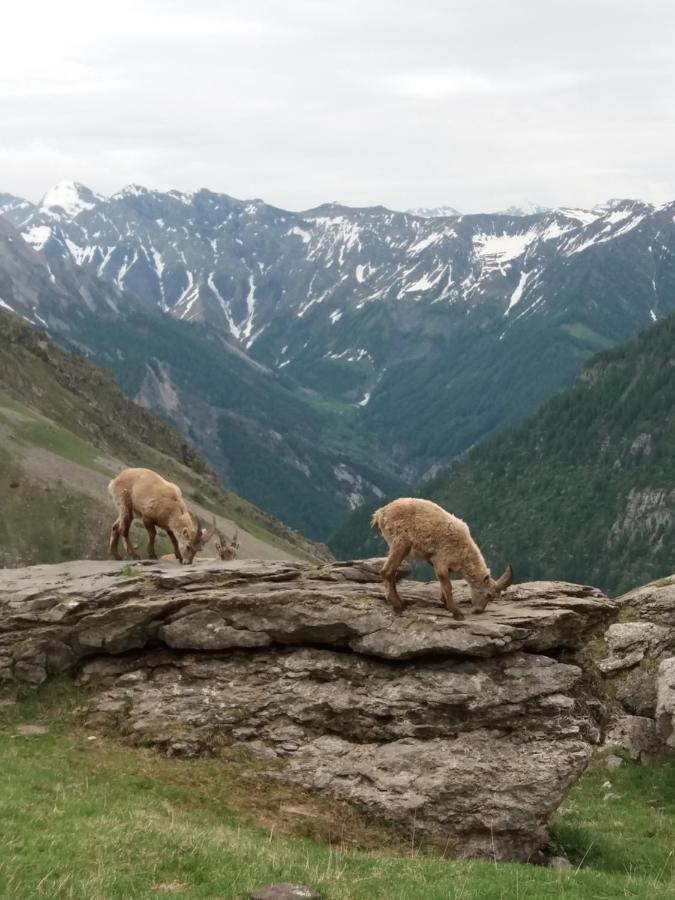 Vacances à la montagne Saint-Julien-en-Champsaur Esterno foto